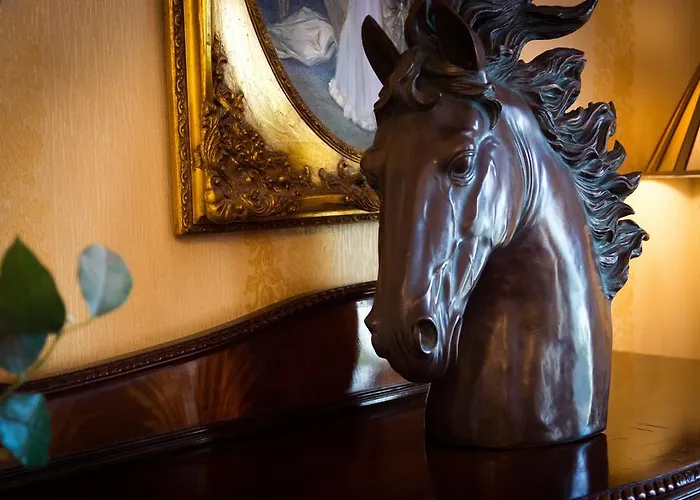 מלון Meadow Court 4*